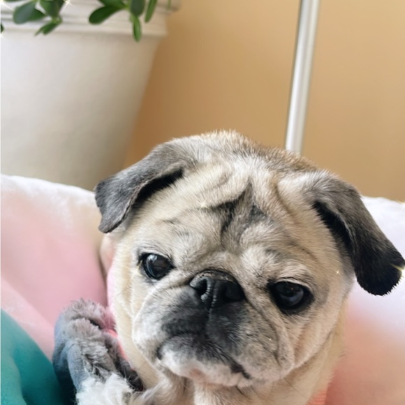 msjackieo3